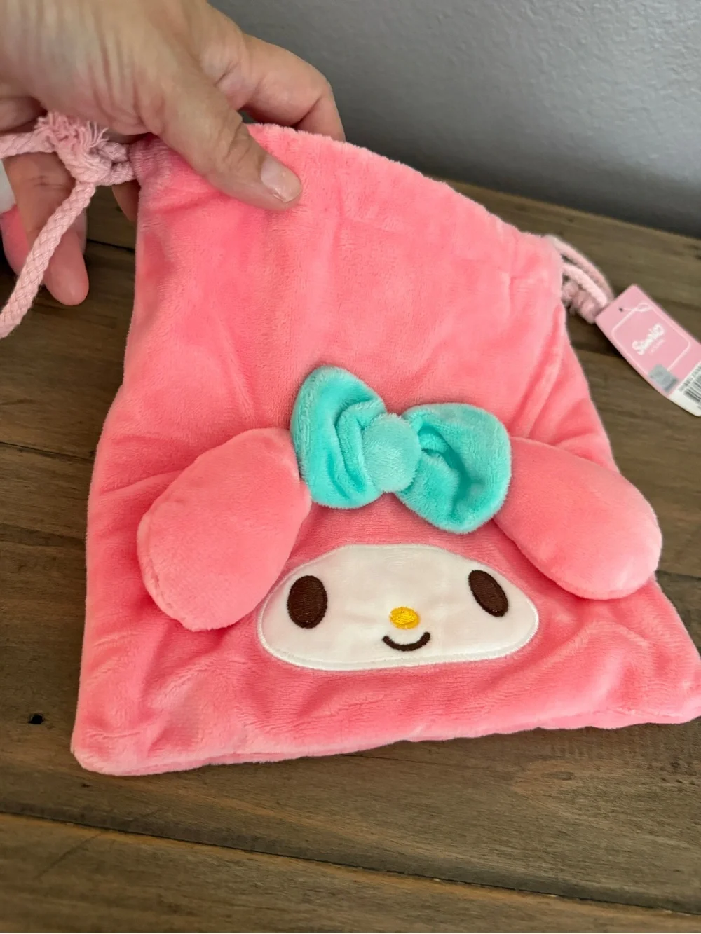 Sanrio My Melody Pink Plush Buddy and Bag Set NWT